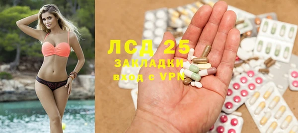 ECSTASY Горняк