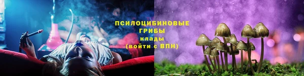 стафф Алзамай